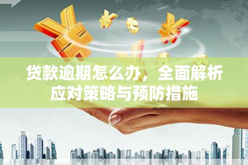 北海新区贷款逾期怎么办，全面解析应对策略与预防措施