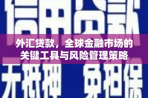 北海新区外汇贷款，全球金融市场的关键工具与风险管理策略