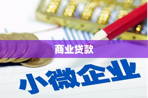 北海新区商业贷款