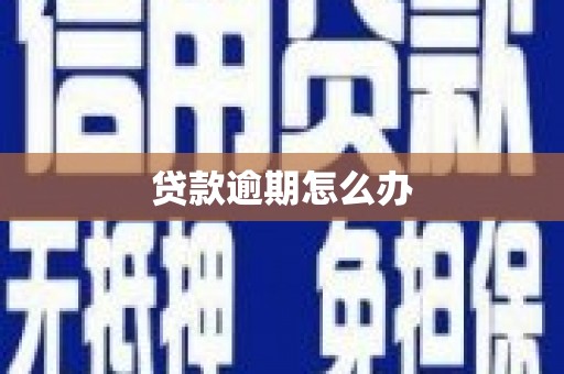 北海新区贷款逾期怎么办