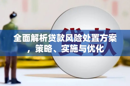 北海新区全面解析贷款风险处置方案，策略、实施与优化