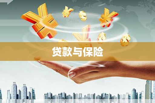 北海新区贷款与保险