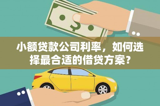 北海新区小额贷款公司利率，如何选择最合适的借贷方案？