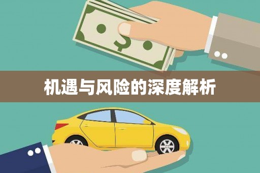 北海新区机遇与风险的深度解析