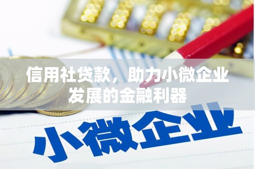 北海新区信用社贷款，助力小微企业发展的金融利器
