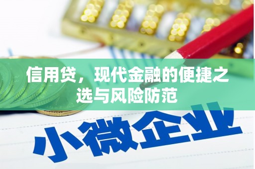 北海新区信用贷，现代金融的便捷之选与风险防范