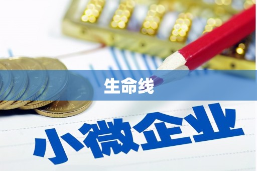 北海新区生命线