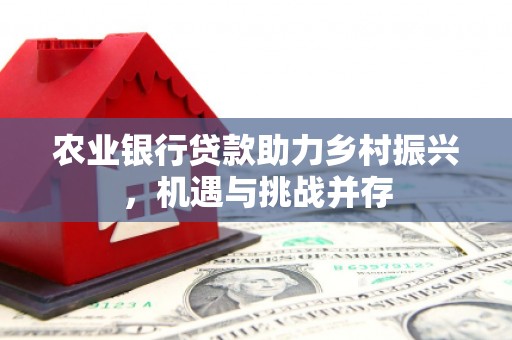 北海新区农业银行贷款助力乡村振兴，机遇与挑战并存
