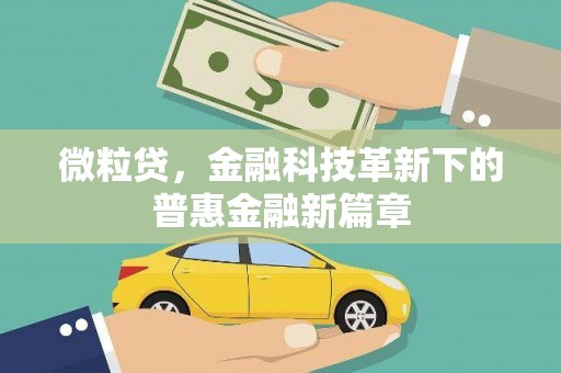 北海新区微粒贷，金融科技革新下的普惠金融新篇章