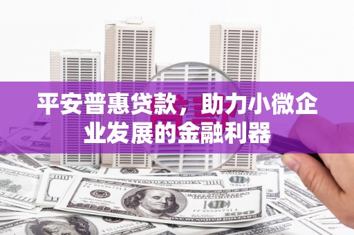 北海新区平安普惠贷款，助力小微企业发展的金融利器
