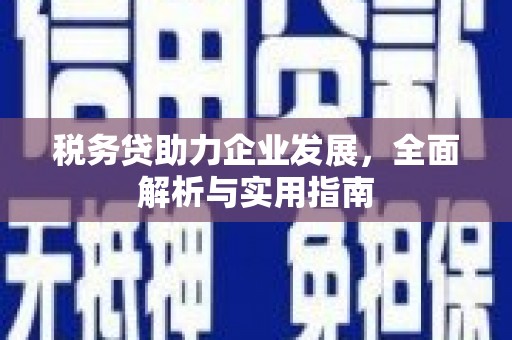 北海新区税务贷助力企业发展，全面解析与实用指南