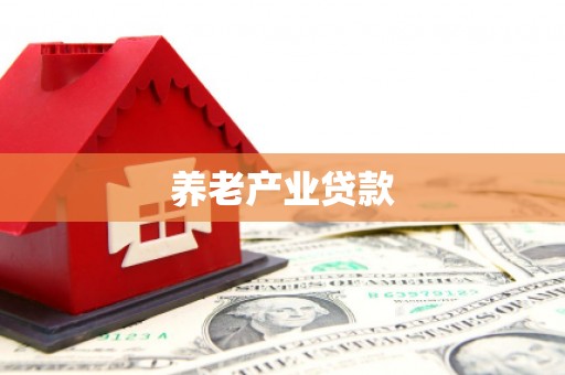 北海新区养老产业贷款