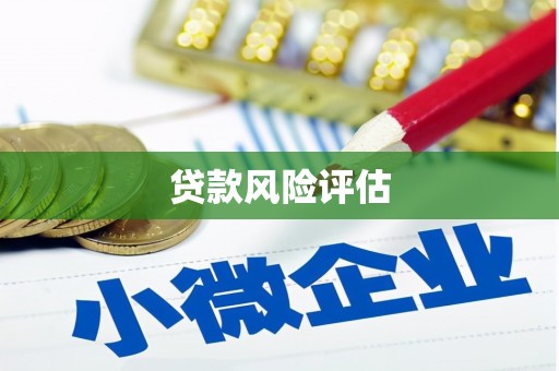 北海新区贷款风险评估
