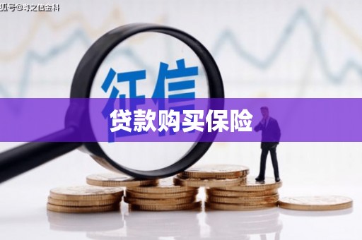 北海新区贷款购买保险