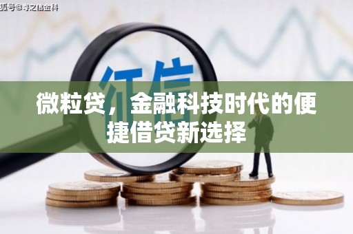 北海新区微粒贷，金融科技时代的便捷借贷新选择