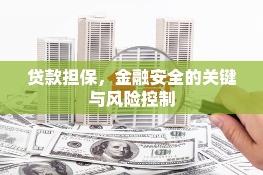 北海新区贷款担保，金融安全的关键与风险控制