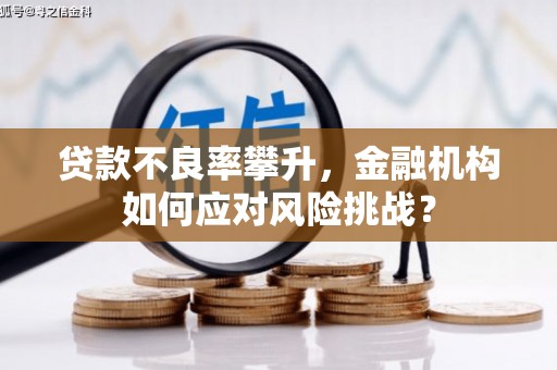 北海新区贷款不良率攀升，金融机构如何应对风险挑战？