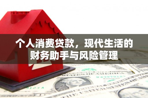 北海新区个人消费贷款，现代生活的财务助手与风险管理