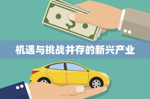 北海新区机遇与挑战并存的新兴产业