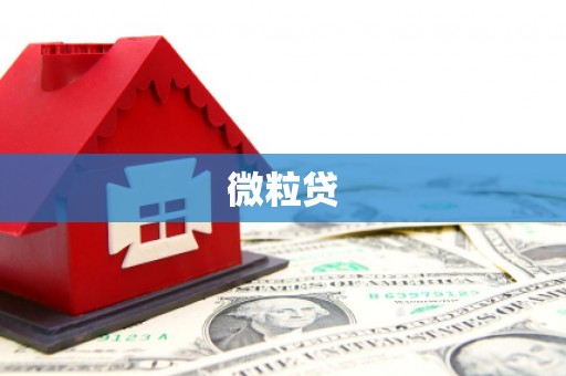北海新区微粒贷