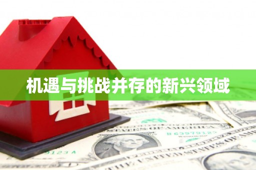 北海新区机遇与挑战并存的新兴领域