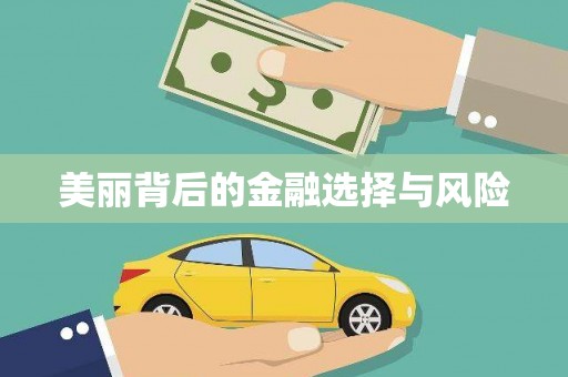 北海新区美丽背后的金融选择与风险