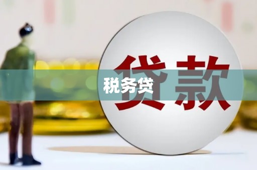 北海新区税务贷