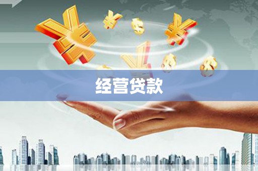 北海新区经营贷款