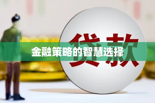 北海新区金融策略的智慧选择