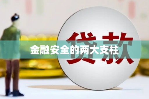 北海新区金融安全的两大支柱