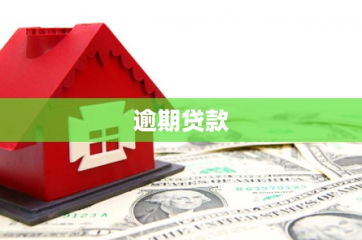 北海新区逾期贷款