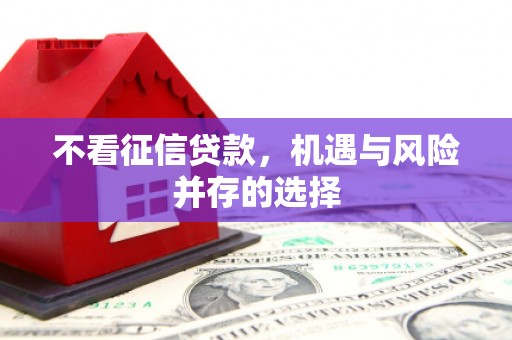 北海新区不看征信贷款，机遇与风险并存的选择