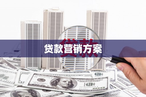 北海新区贷款营销方案